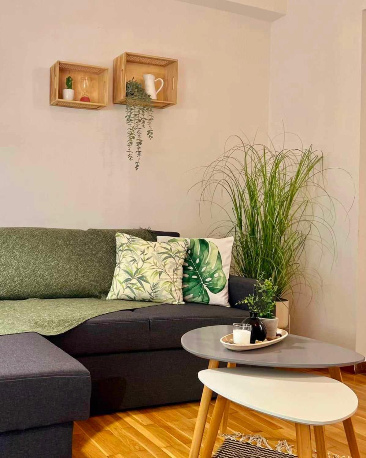 Charming Volos House 2 מראה חיצוני תמונה